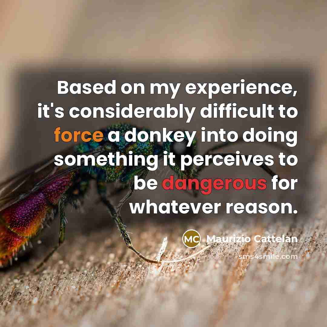 “Based on my experience, it's considerably difficult to force a donkey into doing something it perceives to be dangerous for whatever reason.” quote by Maurizio Cattelan
