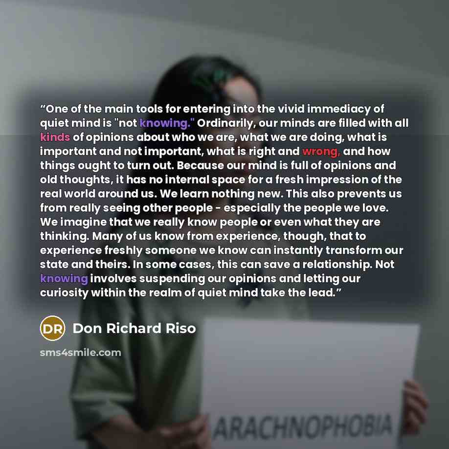 “One of the main tools for entering into the vivid immediacy of quiet mind is "not knowing." Ordinarily, our minds are filled with all kinds of opinions about who we are, what we are doing, what is important and not important, what is right and wrong, and how things ought to turn out. Because our…” quote by Don Richard Riso