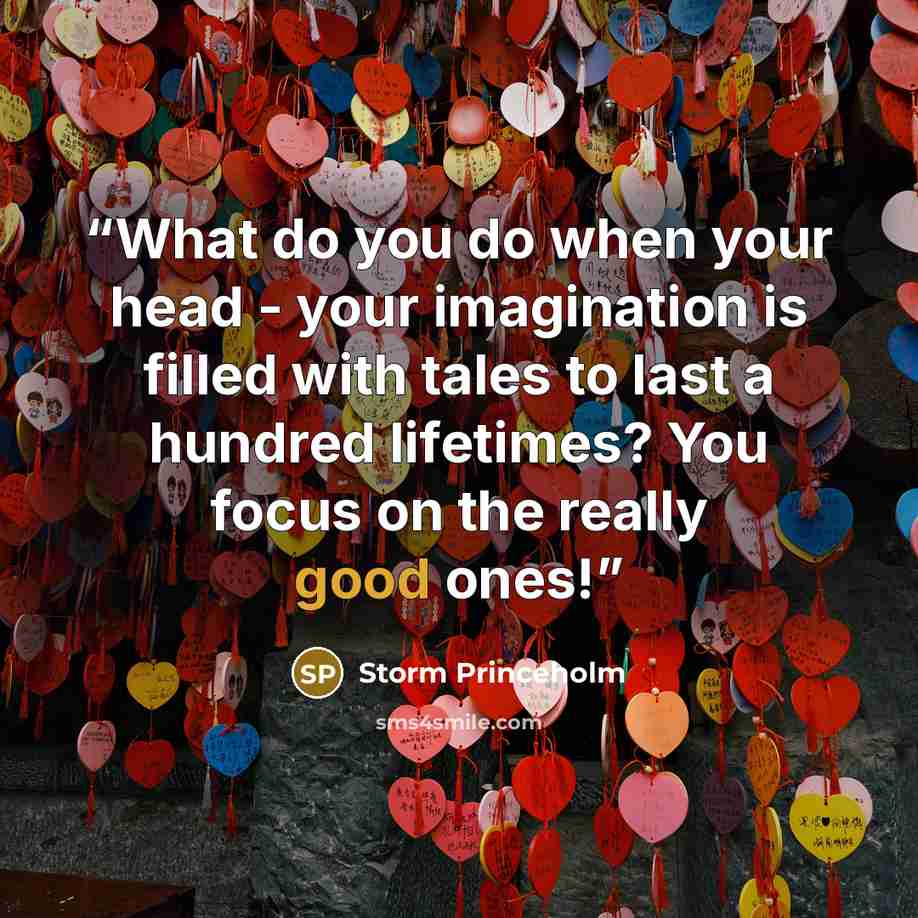“What do you do when your head - your imagination is filled with tales to last a hundred lifetimes? You focus on the really good ones!” quote by Storm Princeholm