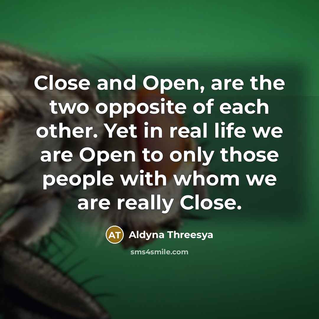 “Close and Open, are the two opposite of each other. Yet in real life we are Open to only those people with whom we are really Close.” quote by Aldyna Threesya