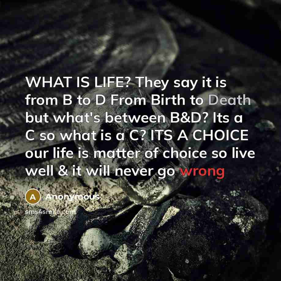 “WHAT IS LIFE? They say it is from B to D From Birth to Death but what's between B&D? Its a C so what is a C? ITS A CHOICE our life is matter of choice so live well & it will never go wrong” quote by Anonymous