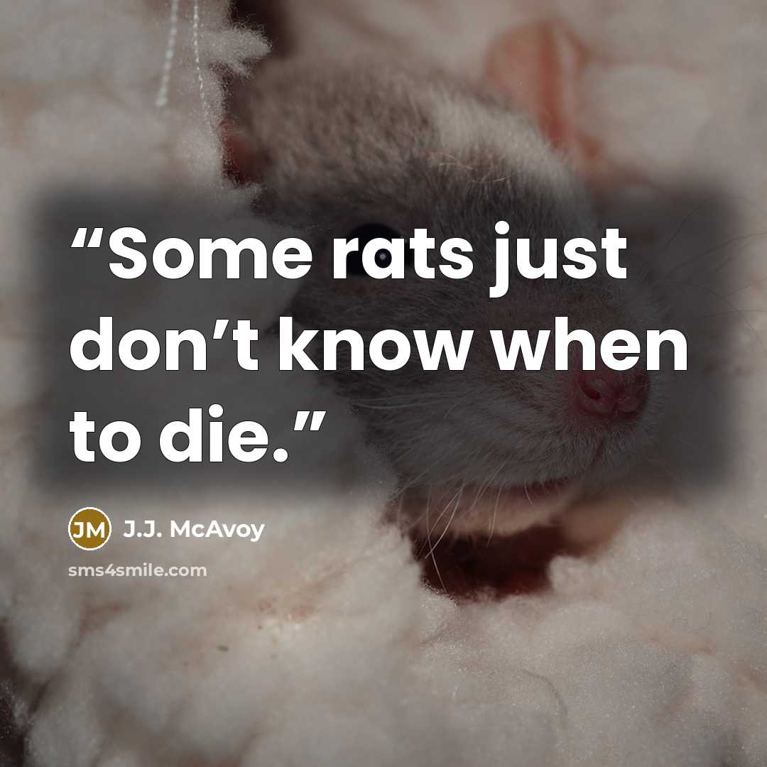 “Some rats just don’t know when to die.” quote by J.J. McAvoy
