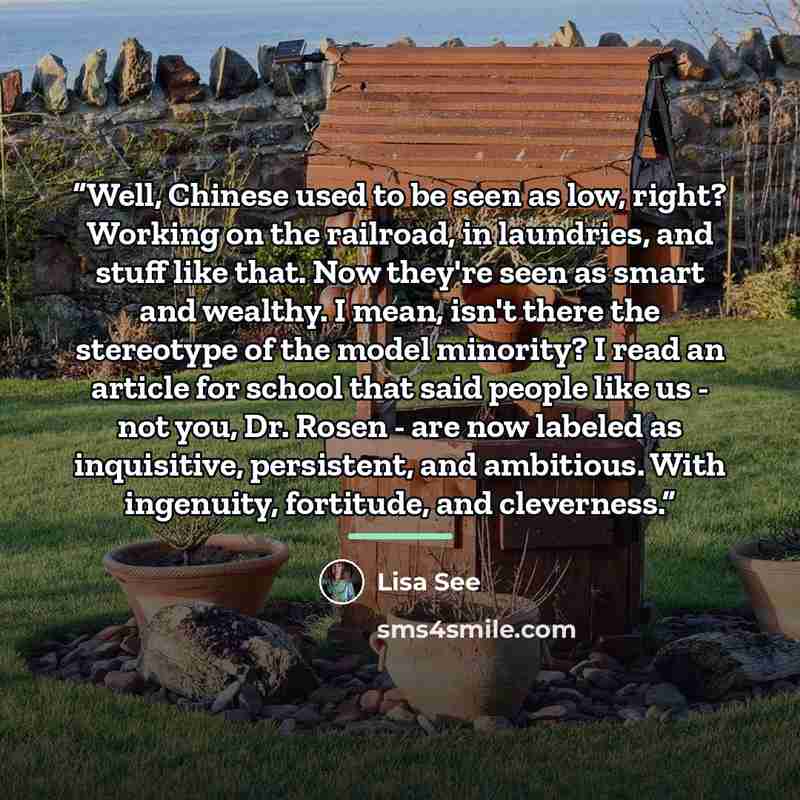 “Well, Chinese used to be seen as low, right? Working on the railroad, in laundries, and stuff like that. Now they're seen as smart and wealthy. I mean, isn't there the stereotype of the model minority? I read an article for school that said people like us - not you, Dr. Rosen - are now labeled as…” quote by Lisa See