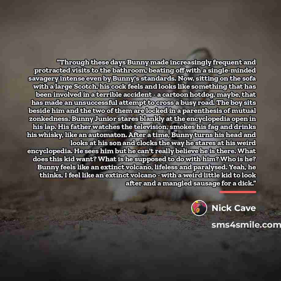 “Through these days Bunny made increasingly frequent and protracted visits to the bathroom, beating off with a single-minded savagery intense even by Bunny's standards. Now, sitting on the sofa with a large Scotch, his cock feels and looks like something that has been involved in a terrible…” quote by Nick Cave
