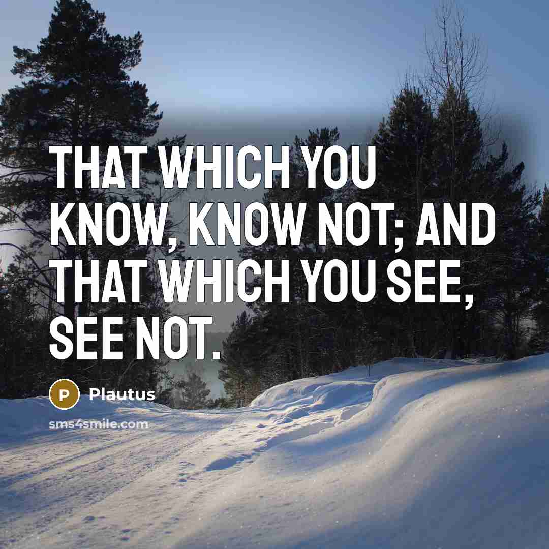 “That which you know, know not; and that which you see, see not.” quote by Plautus