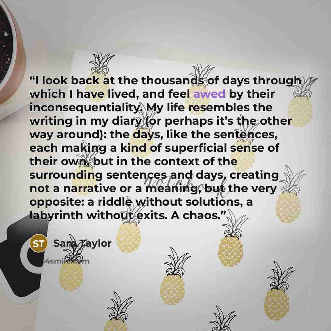 “I look back at the thousands of days through which I have lived, and feel awed by their inconsequentiality. My life resembles the writing in my diary (or perhaps it’s the other way around): the days, like the sentences, each making a kind of superficial sense of their own, but in the context of…” quote by Sam Taylor