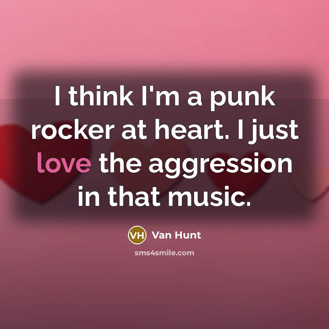 “I think I'm a punk rocker at heart. I just love the aggression in that music.” quote by Van Hunt