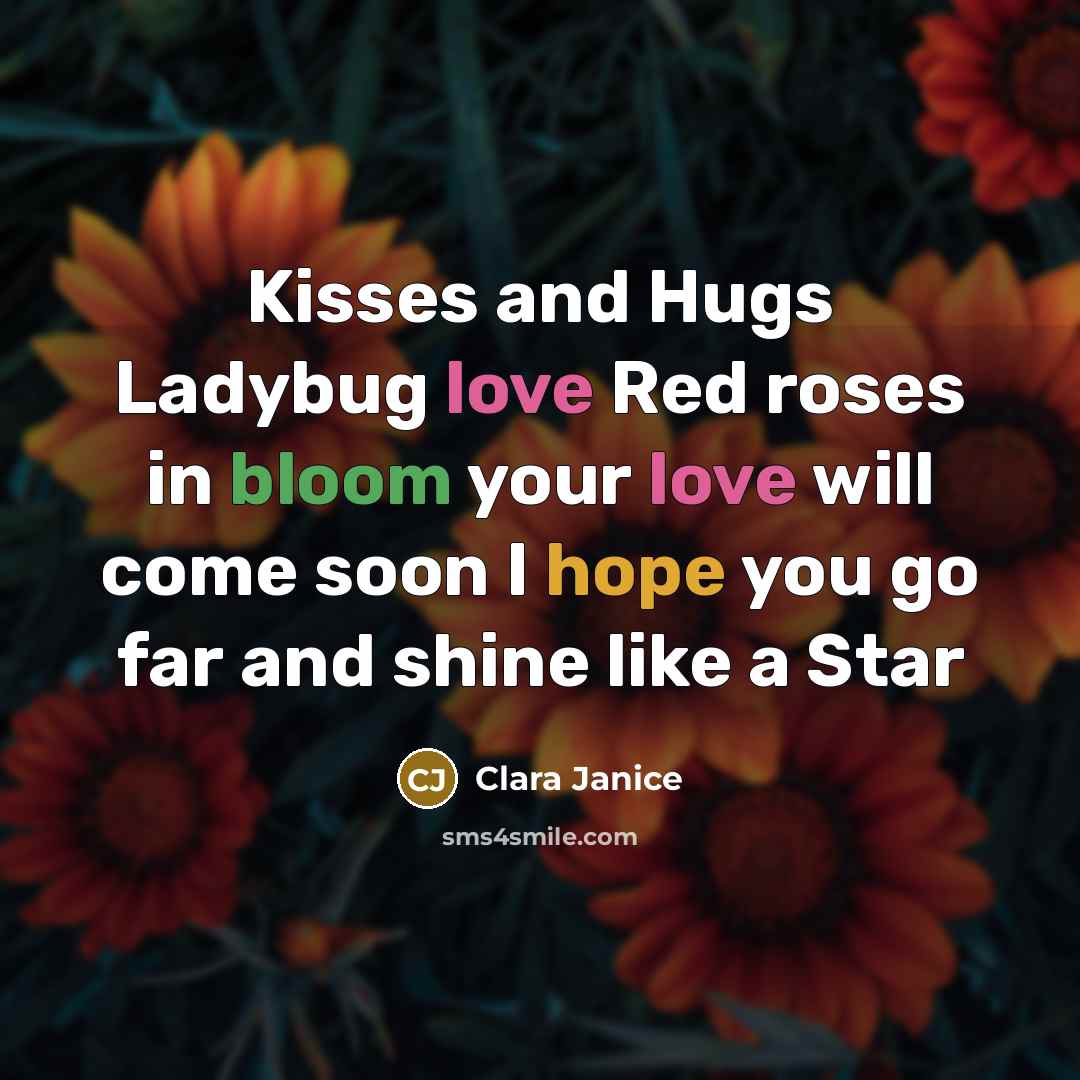 “Kisses and Hugs Ladybug love Red roses in bloom your love will come soon I hope you go far and shine like a Star” quote by Clara Janice