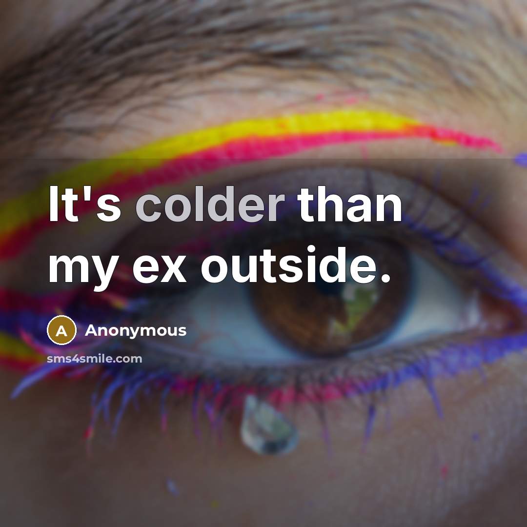 “It's colder than my ex outside.” quote by Anonymous