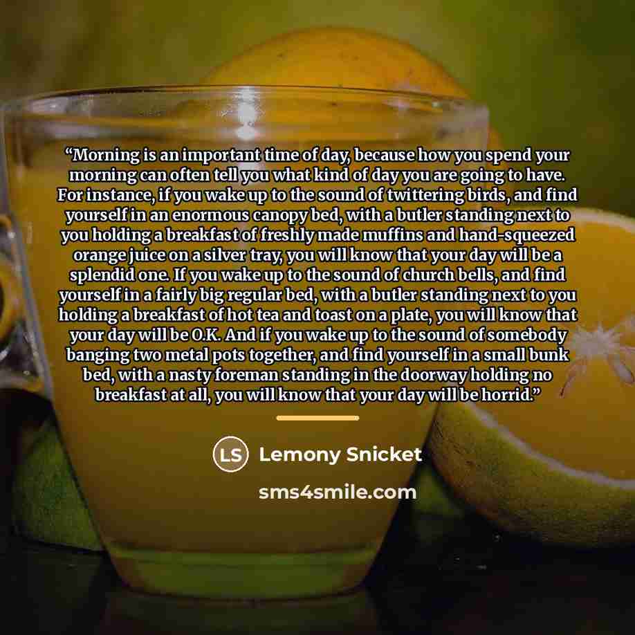 “Morning is an important time of day, because how you spend your morning can often tell you what kind of day you are going to have. For instance, if you wake up to the sound of twittering birds, and find yourself in an enormous canopy bed, with a butler standing next to you holding a breakfast of…” quote by Lemony Snicket