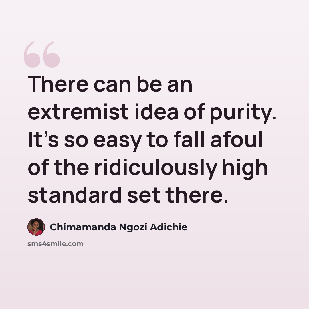 “There can be an extremist idea of purity. It's so easy to fall afoul of the ridiculously high standard set there.” quote by Chimamanda Ngozi Adichie