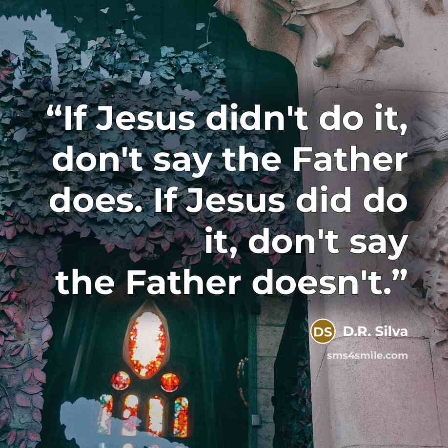 “If Jesus didn't do it, don't say the Father does. If Jesus did do it, don't say the Father doesn't.” quote by D.R. Silva