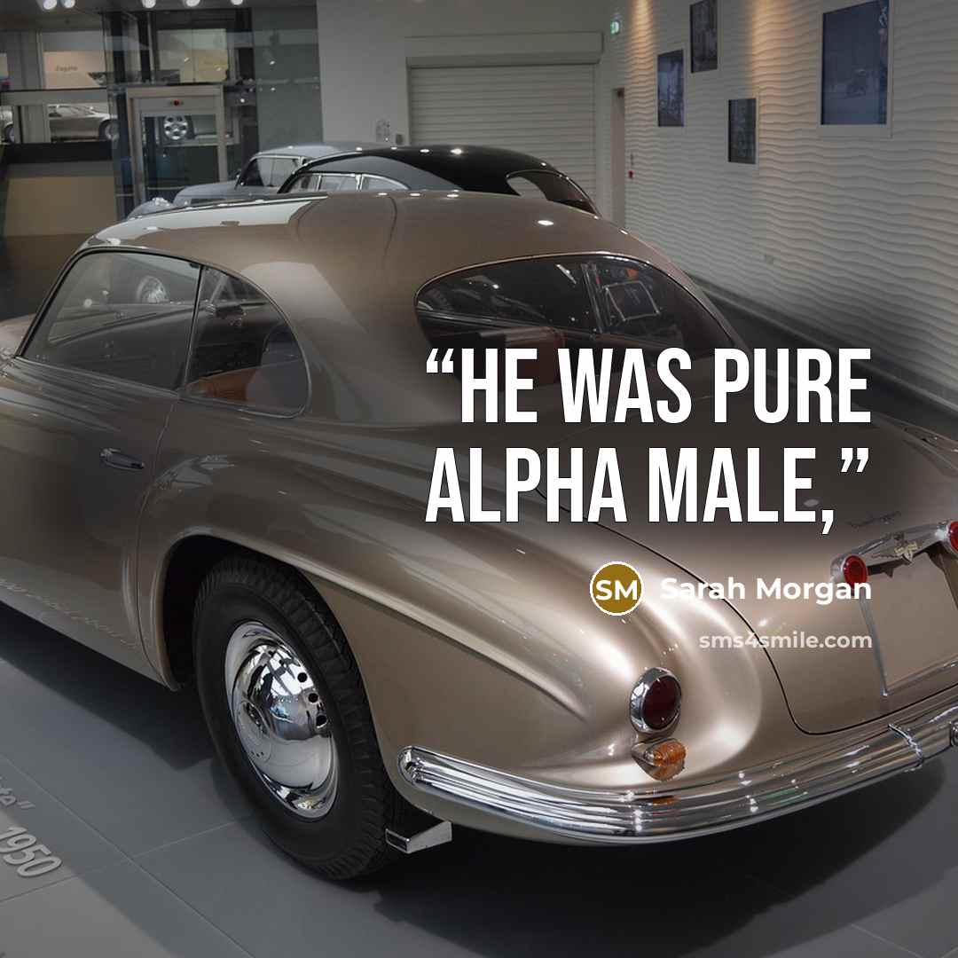 “He was pure alpha male,” quote by Sarah Morgan
