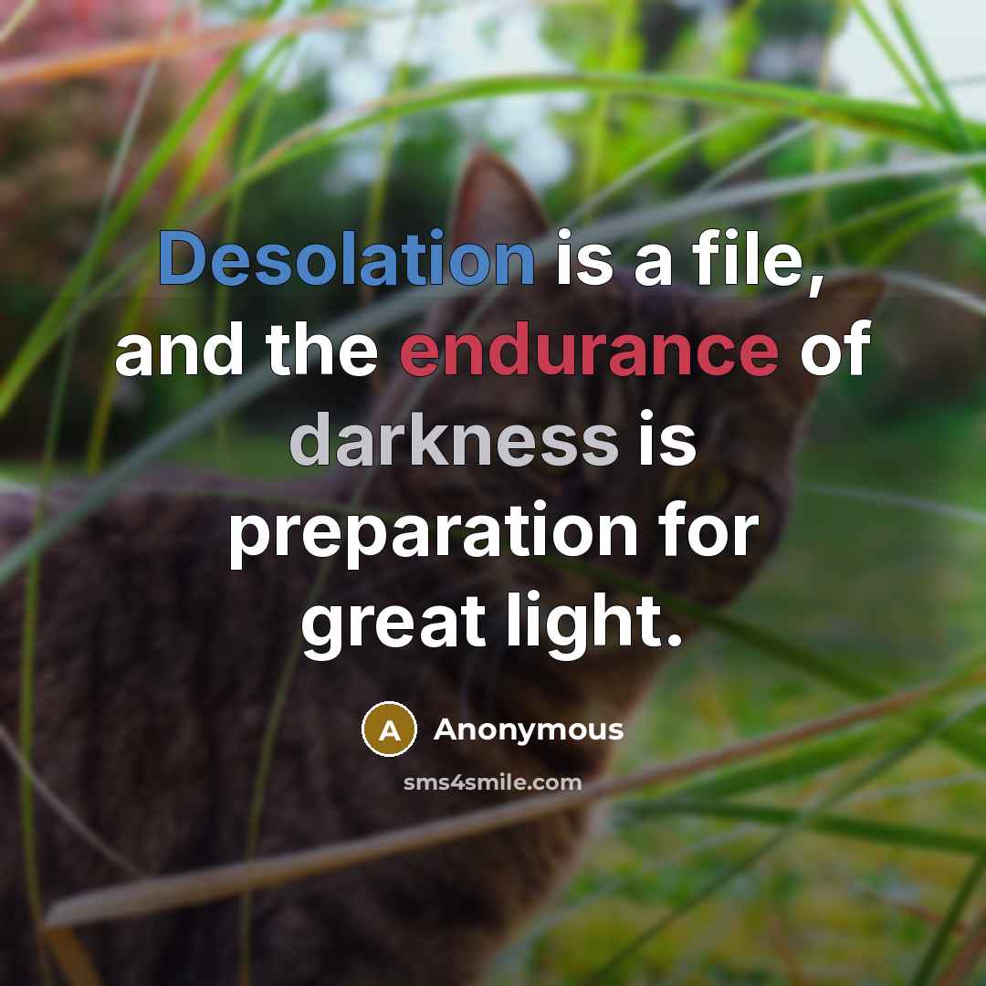 “Desolation is a file, and the endurance of darkness is preparation for great light.” quote by Anonymous