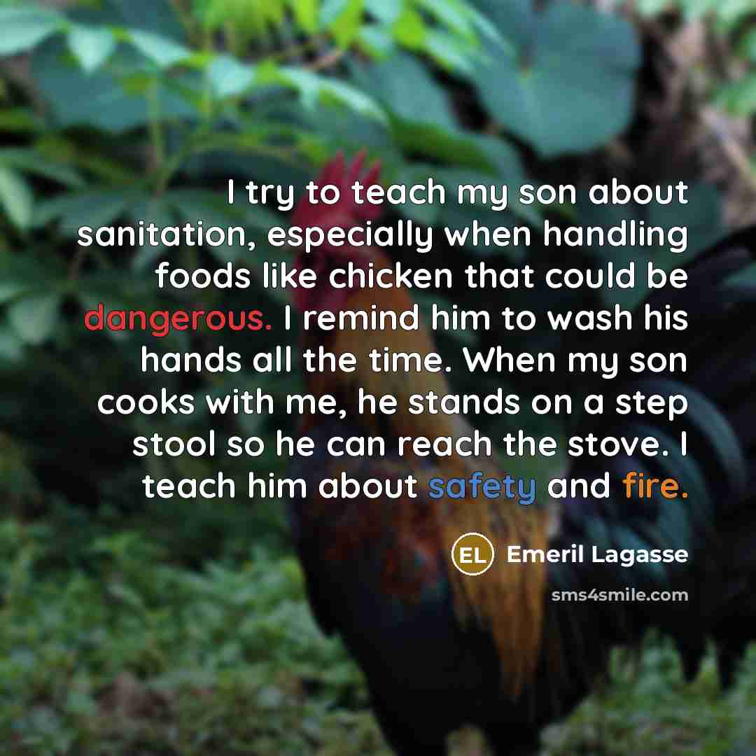 “I try to teach my son about sanitation, especially when handling foods like chicken that could be dangerous. I remind him to wash his hands all the time. When my son cooks with me, he stands on a step stool so he can reach the stove. I teach him about safety and fire.” quote by Emeril Lagasse