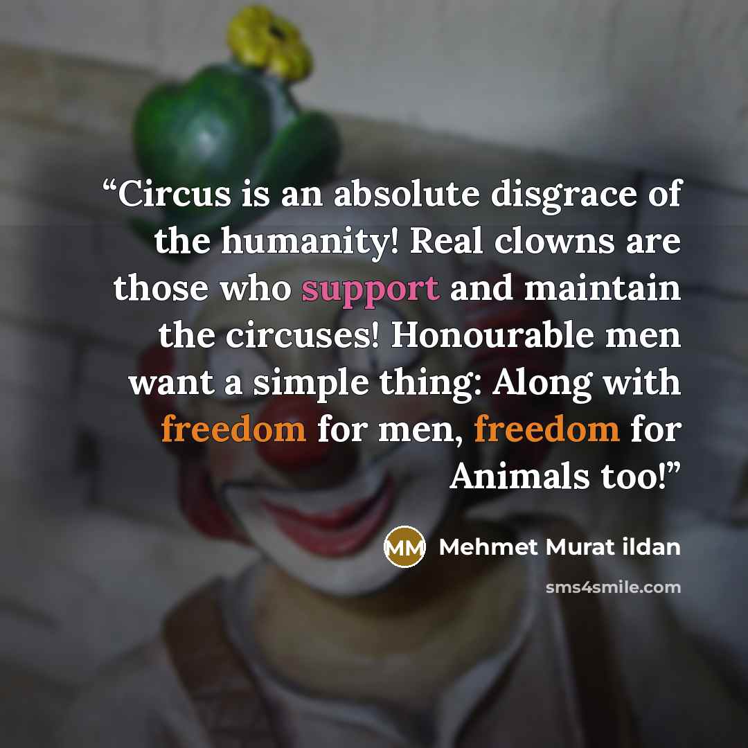 “Circus is an absolute disgrace of the humanity! Real clowns are those who support and maintain the circuses! Honourable men want a simple thing: Along with freedom for men, freedom for Animals too!” quote by Mehmet Murat ildan