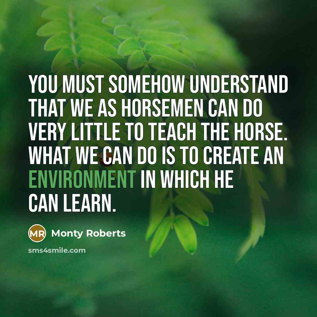 “You must somehow understand that we as horsemen can do very little to teach the horse. What we can do is to create an environment in which he can learn.” quote by Monty Roberts