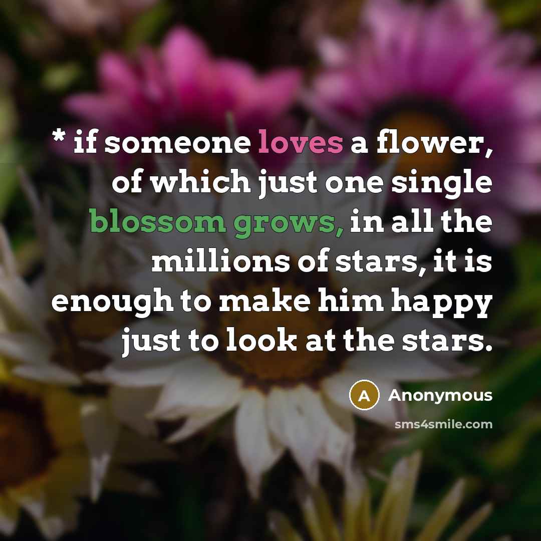 “* if someone loves a flower, of which just one single blossom grows, in all the millions of stars, it is enough to make him happy just to look at the stars.” quote by Anonymous