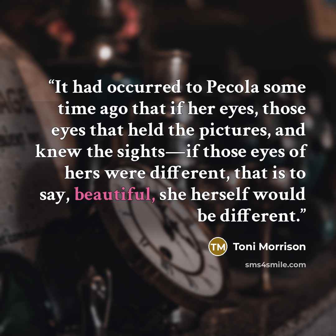 “It had occurred to Pecola some time ago that if her eyes, those eyes that held the pictures, and knew the sights—if those eyes of hers were different, that is to say, beautiful, she herself would be different.” quote by Toni Morrison