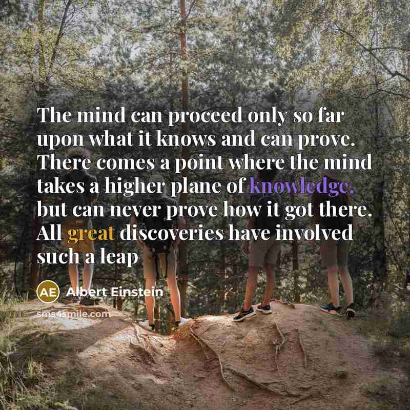 “The mind can proceed only so far upon what it knows and can prove. There comes a point where the mind takes a higher plane of knowledge, but can never prove how it got there. All great discoveries have involved such a leap” quote by Albert Einstein