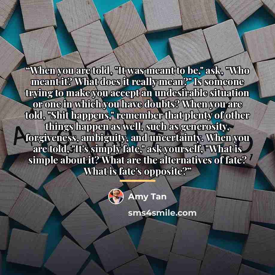 “When you are told, "It was meant to be," ask, "Who meant it? What does it really mean?" Is someone trying to make you accept an undesirable situation or one in which you have doubts? When you are told, "Shit happens," remember that plenty of other things happen as well, such as generosity…” quote by Amy Tan