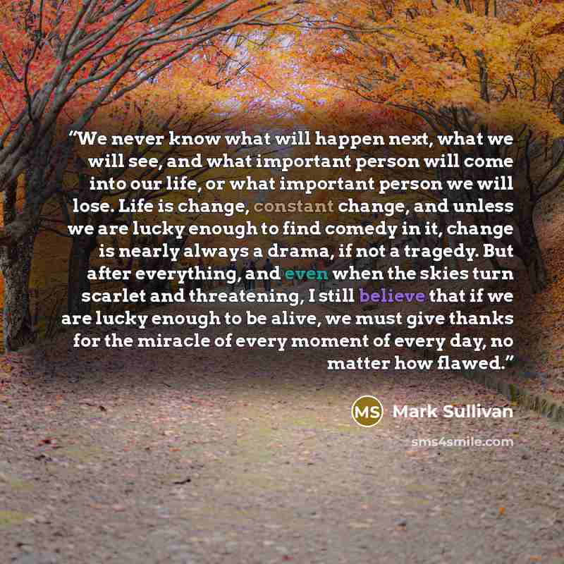 “We never know what will happen next, what we will see, and what important person will come into our life, or what important person we will lose. Life is change, constant change, and unless we are lucky enough to find comedy in it, change is nearly always a drama, if not a tragedy. But after…” quote by Mark Sullivan