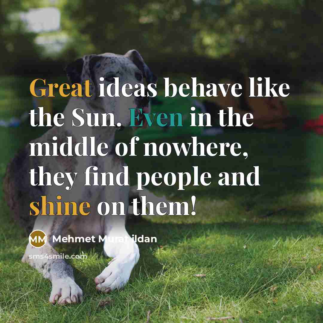 “Great ideas behave like the Sun. Even in the middle of nowhere, they find people and shine on them!” quote by Mehmet Murat Ildan