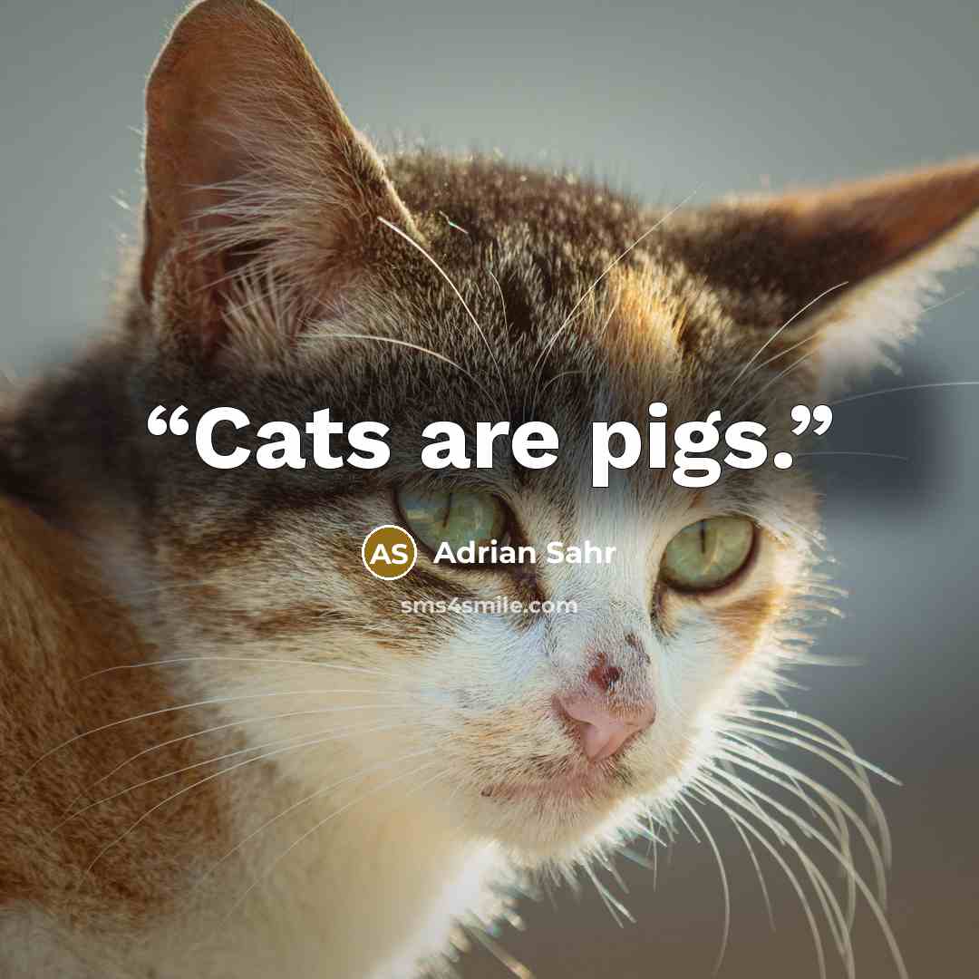 “Cats are pigs.” quote by Adrian Sahr