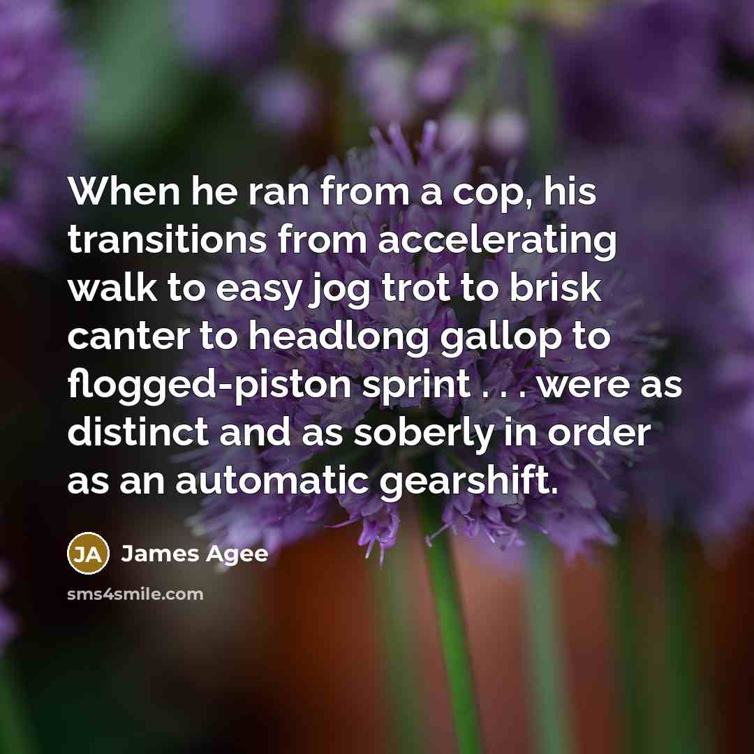 “When he ran from a cop, his transitions from accelerating walk to easy jog trot to brisk canter to headlong gallop to flogged-piston sprint . . . were as distinct and as soberly in order as an automatic gearshift.” quote by James Agee