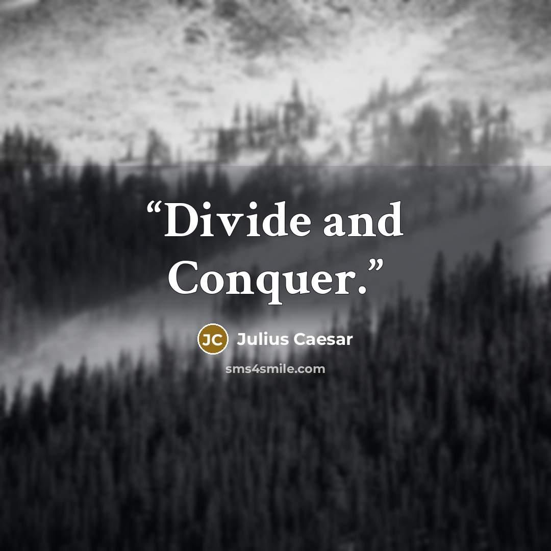 “Divide and Conquer.” quote by Julius Caesar