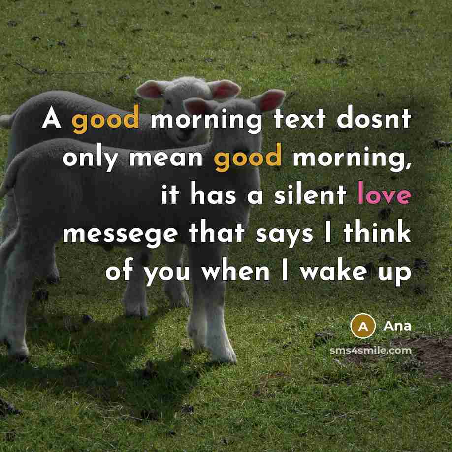“A good morning text dosnt only mean good morning, it has a silent love messege that says I think of you when I wake up” quote by Ana