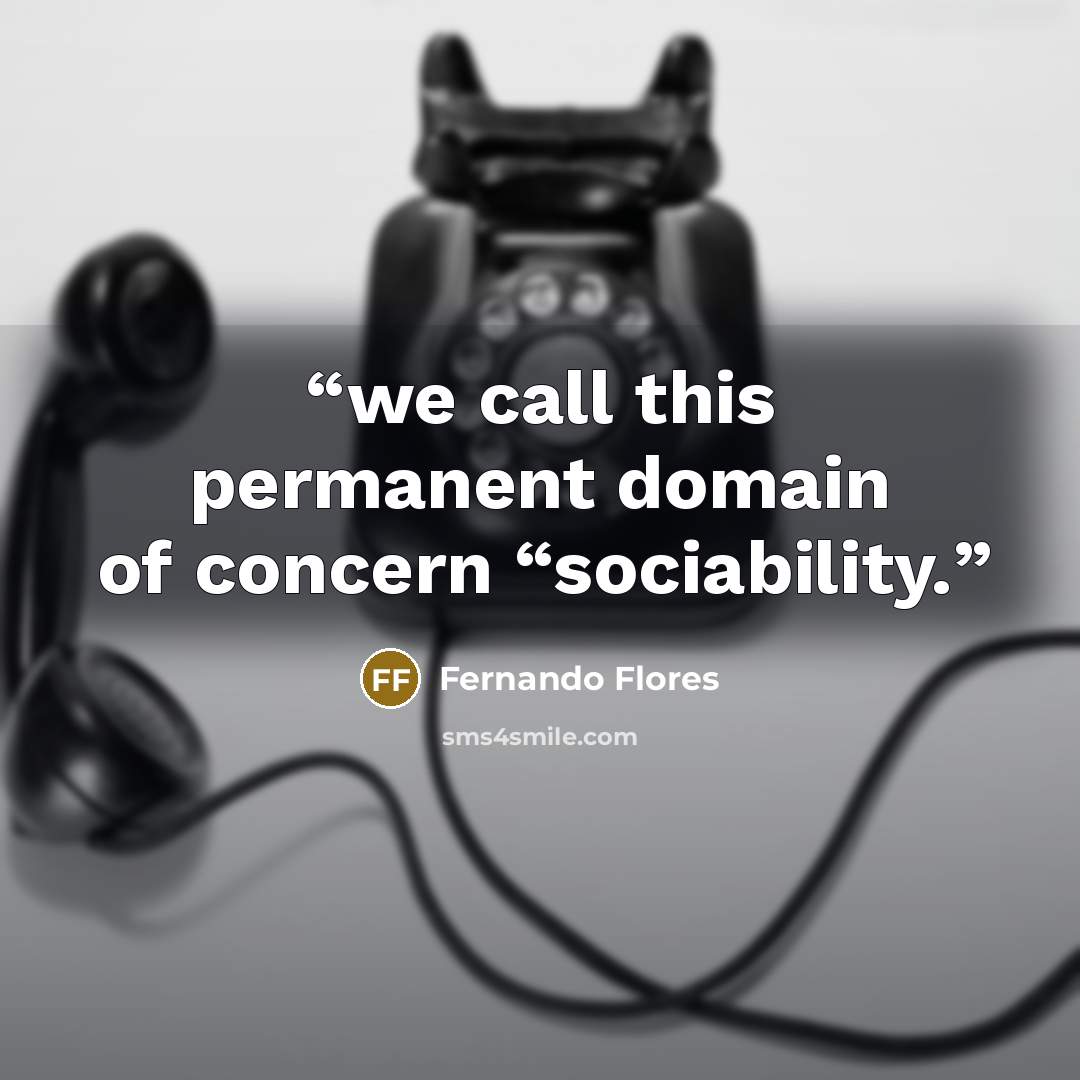 “we call this permanent domain of concern “sociability.” quote by Fernando Flores