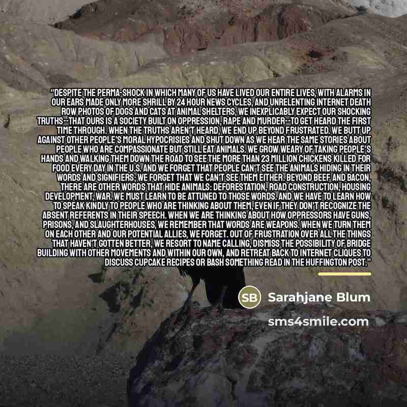 “Despite the perma-shock in which many of us have lived our entire lives, with alarms in our ears made only more shrill by 24 hour news cycles, and unrelenting internet death row photos of dogs and cats at animal shelters, we inexplicably expect our shocking truths--that ours is a society built on…” quote by Sarahjane Blum