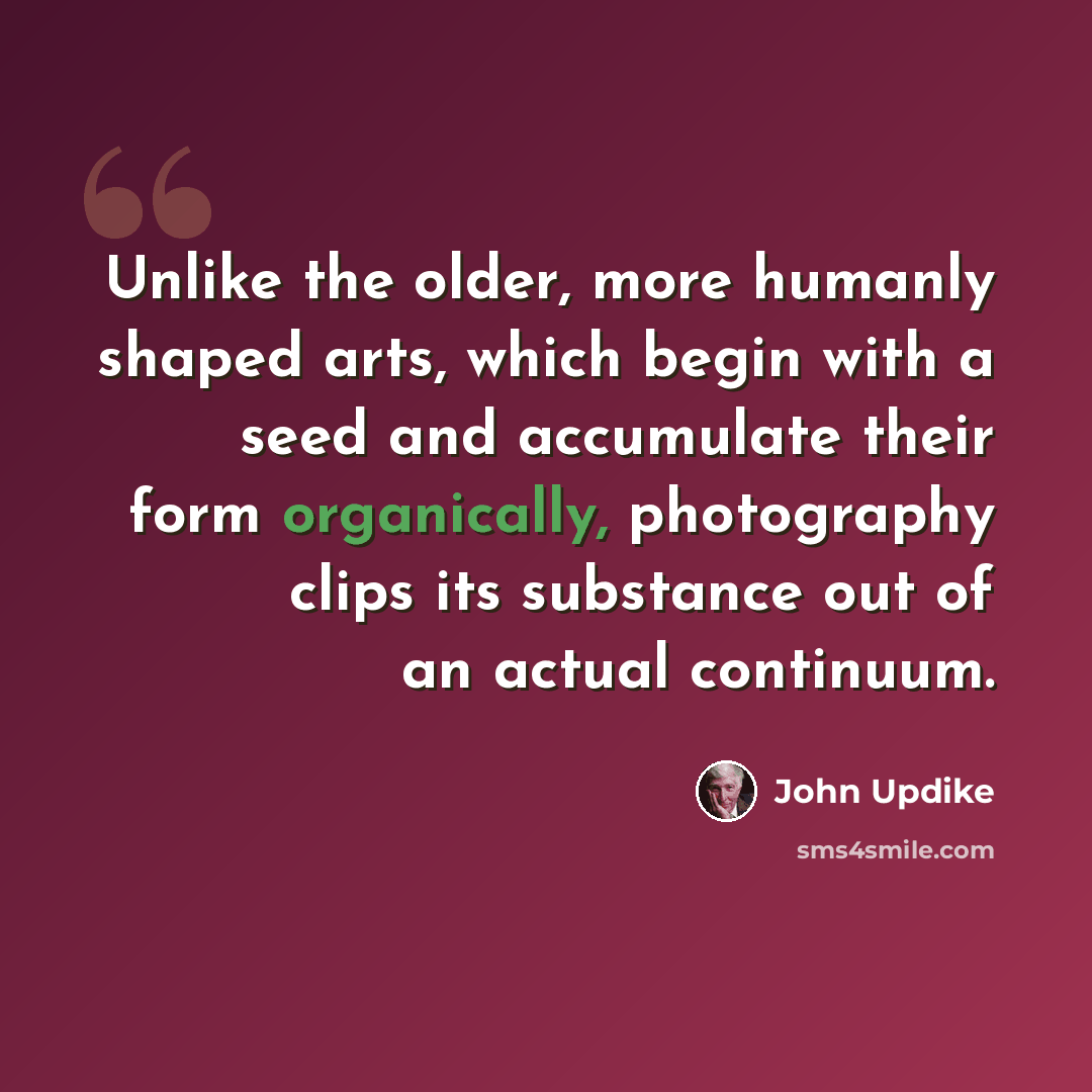 “Unlike the older, more humanly shaped arts, which begin with a seed and accumulate their form organically, photography clips its substance out of an actual continuum.” quote by John Updike