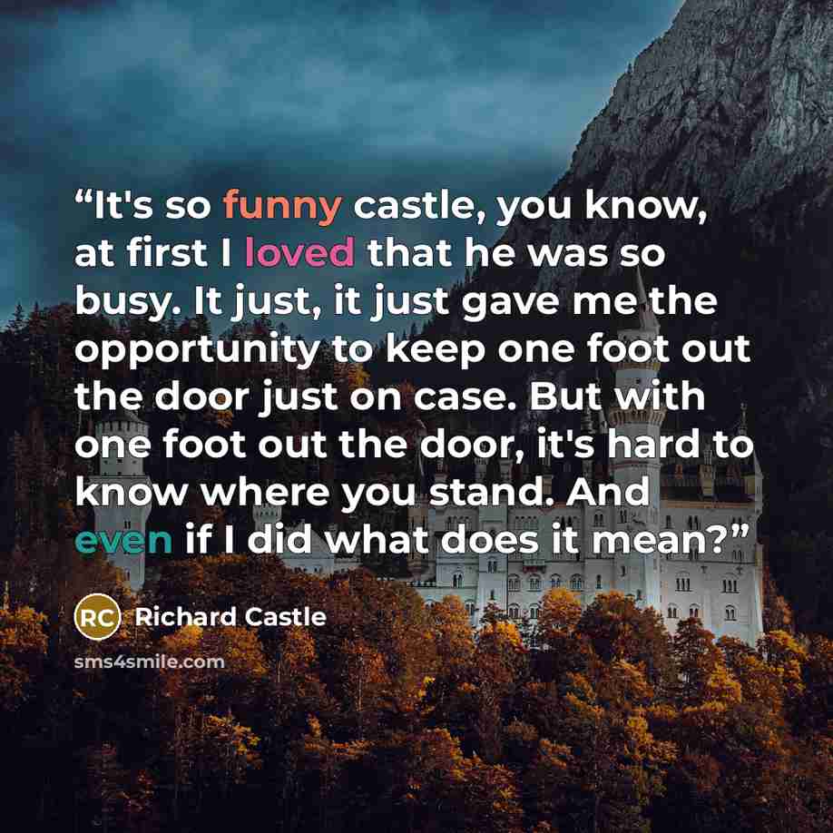 “It's so funny castle, you know, at first I loved that he was so busy. It just, it just gave me the opportunity to keep one foot out the door just on case. But with one foot out the door, it's hard to know where you stand. And even if I did what does it mean?” quote by Richard Castle