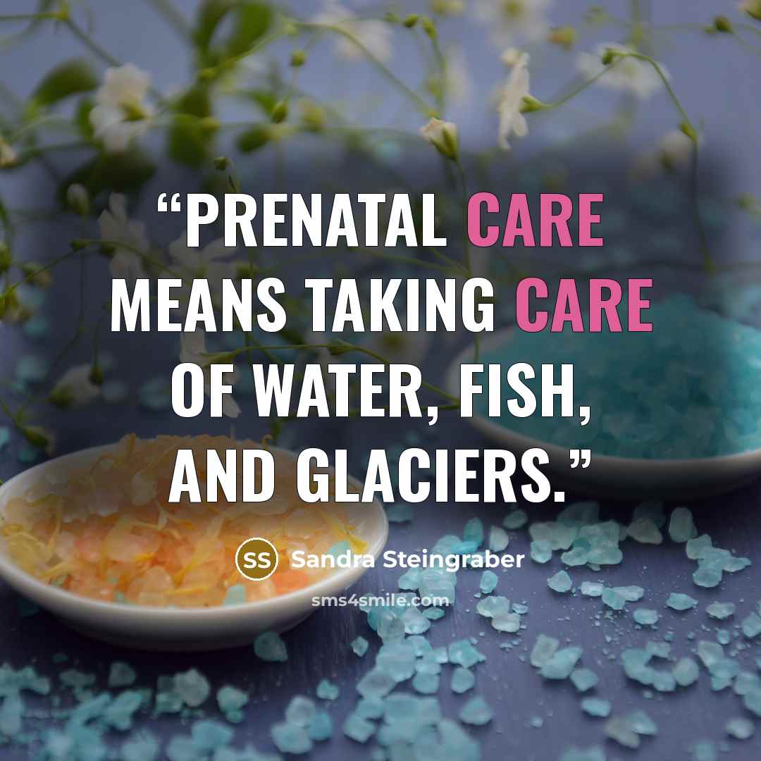 “Prenatal care means taking care of water, fish, and glaciers.” quote by Sandra Steingraber