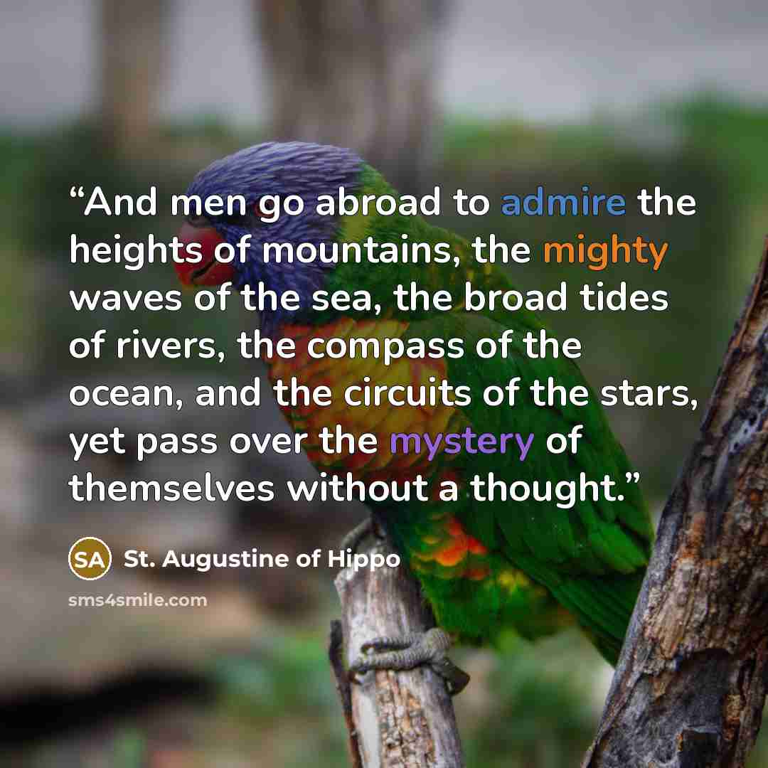 “And men go abroad to admire the heights of mountains, the mighty waves of the sea, the broad tides of rivers, the compass of the ocean, and the circuits of the stars, yet pass over the mystery of themselves without a thought.” quote by St. Augustine of Hippo