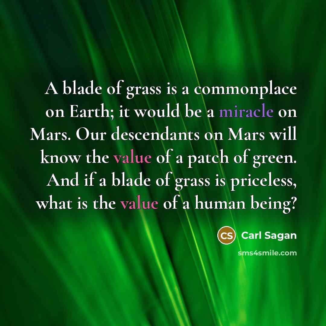 “A blade of grass is a commonplace on Earth; it would be a miracle on Mars. Our descendants on Mars will know the value of a patch of green. And if a blade of grass is priceless, what is the value of a human being?” quote by Carl Sagan