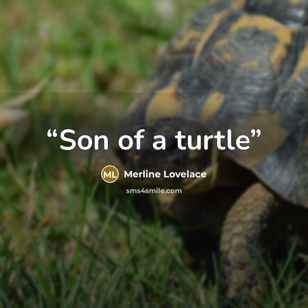 “Son of a turtle” quote by Merline Lovelace