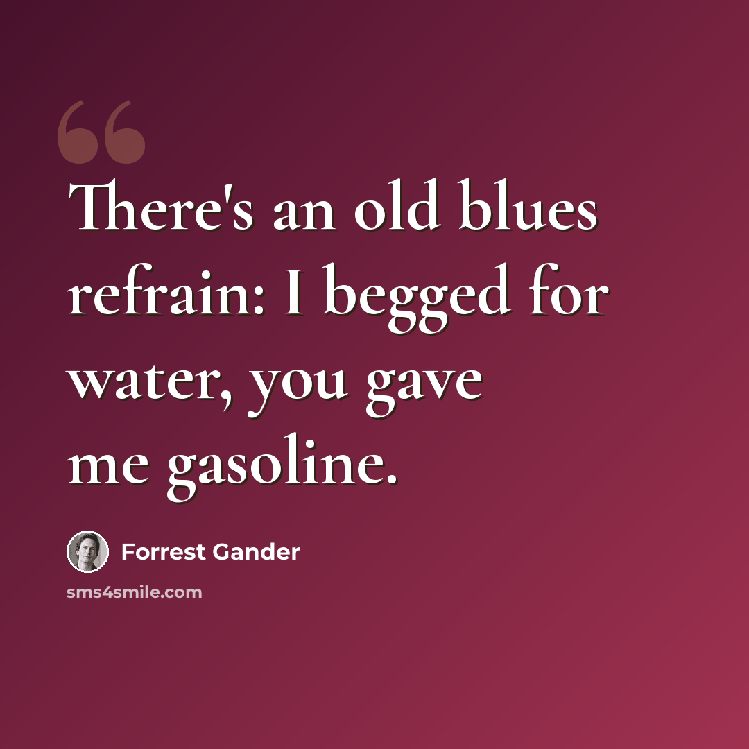 “There's an old blues refrain: I begged for water, you gave me gasoline.” quote by Forrest Gander