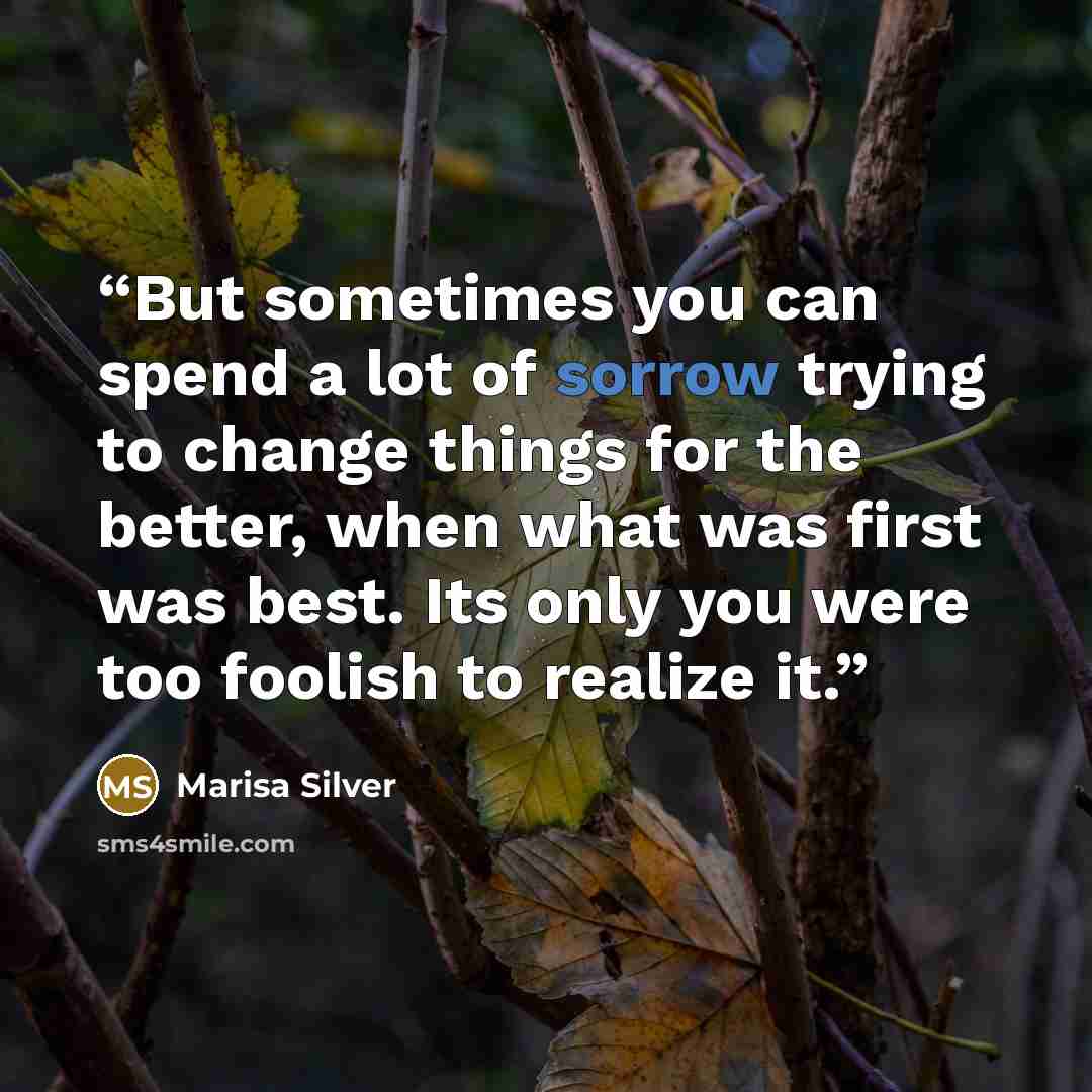 “But sometimes you can spend a lot of sorrow trying to change things for the better, when what was first was best. Its only you were too foolish to realize it.” quote by Marisa Silver