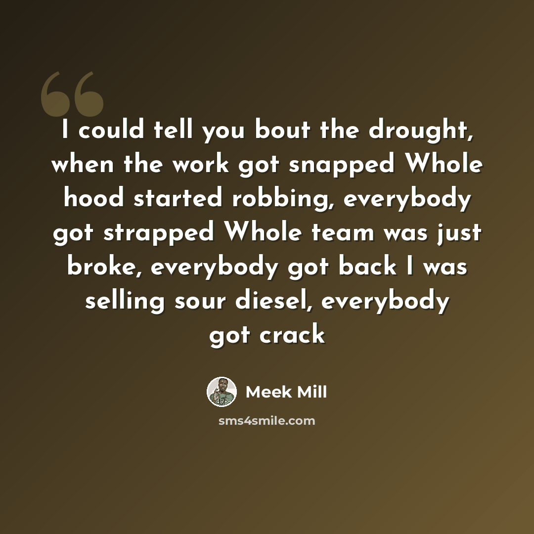 “I could tell you bout the drought, when the work got snapped Whole hood started robbing, everybody got strapped Whole team was just broke, everybody got back I was selling sour diesel, everybody got crack” quote by Meek Mill