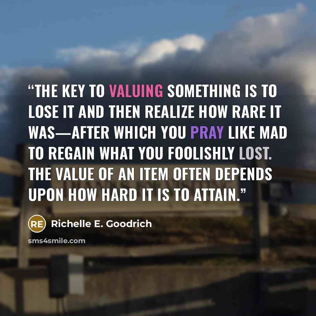 “The key to valuing something is to lose it and then realize how rare it was—after which you pray like mad to regain what you foolishly lost. The value of an item often depends upon how hard it is to attain.” quote by Richelle E. Goodrich