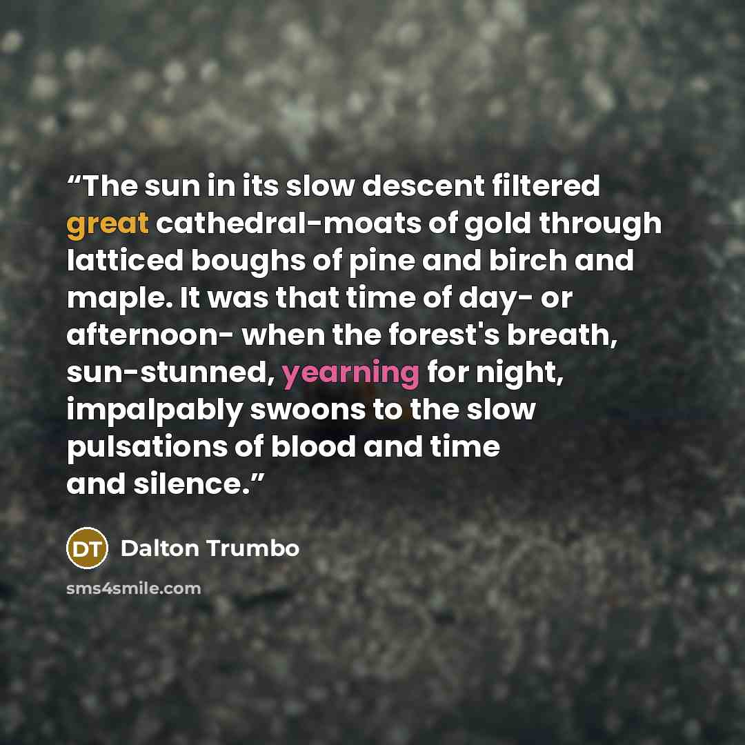 “The sun in its slow descent filtered great cathedral-moats of gold through latticed boughs of pine and birch and maple. It was that time of day- or afternoon- when the forest's breath, sun-stunned, yearning for night, impalpably swoons to the slow pulsations of blood and time and silence.” quote by Dalton Trumbo
