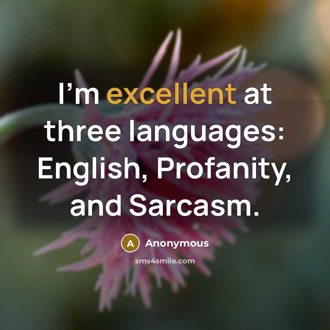 “I'm excellent at three languages: English, Profanity, and Sarcasm.” quote by Anonymous