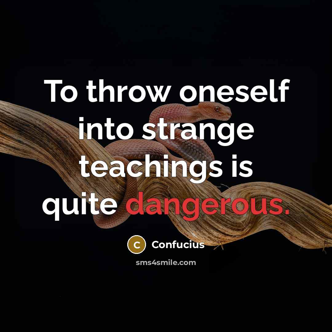 “To throw oneself into strange teachings is quite dangerous.” quote by Confucius