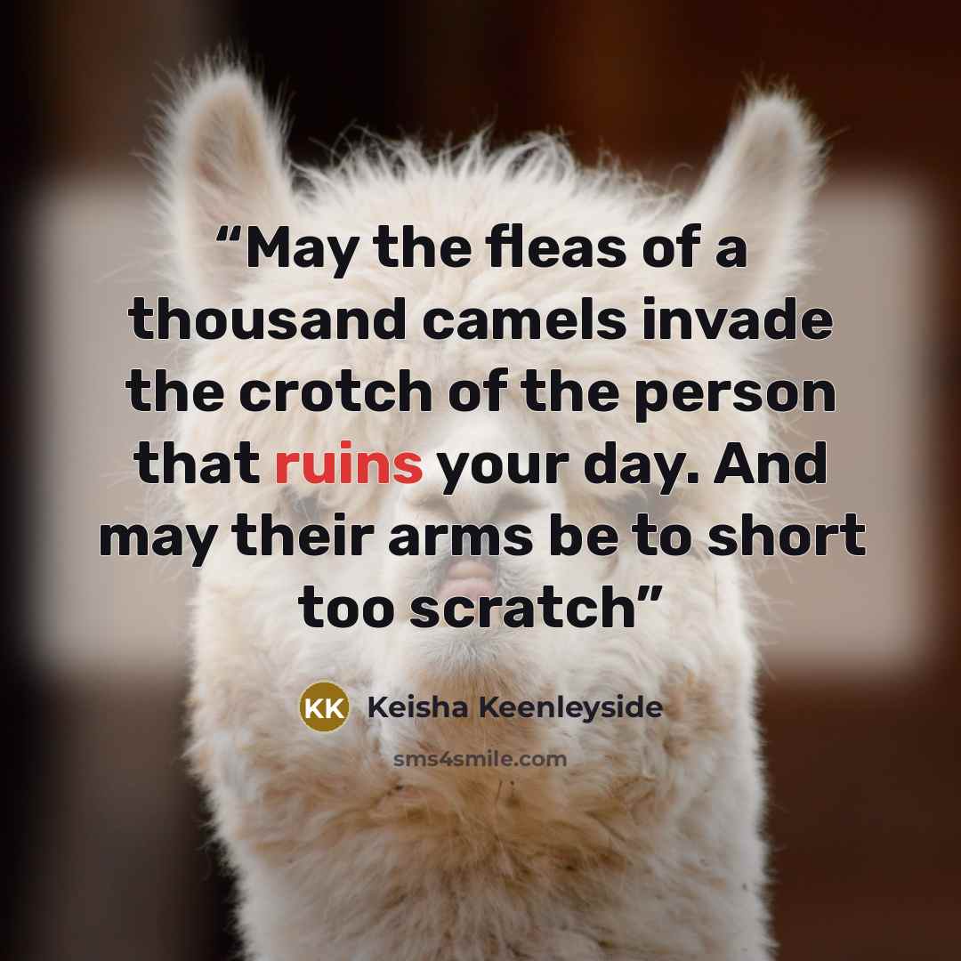 “May the fleas of a thousand camels invade the crotch of the person that ruins your day. And may their arms be to short too scratch” quote by Keisha Keenleyside