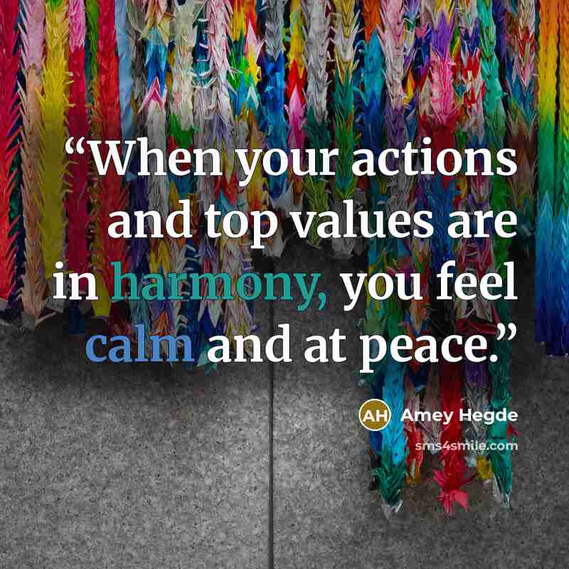 “When your actions and top values are in harmony, you feel calm and at peace.” quote by Amey Hegde