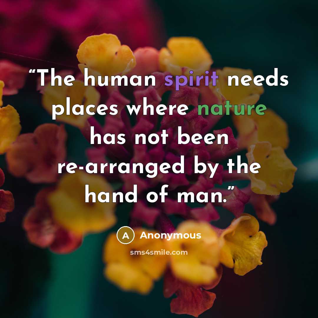 “The human spirit needs places where nature has not been re-arranged by the hand of man.” quote by Anonymous