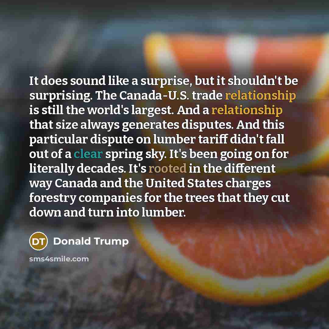 “It does sound like a surprise, but it shouldn't be surprising. The Canada-U.S. trade relationship is still the world's largest. And a relationship that size always generates disputes. And this particular dispute on lumber tariff didn't fall out of a clear spring sky. It's been going on for…” quote by Donald Trump